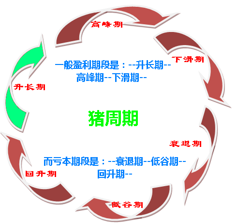 如何破解價(jià)格怪圈 化解“豬周期”風(fēng)險(xiǎn)？